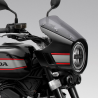 Tête de fourche Honda CB1000F
 Couleur-Graphite Black - [NHB01]